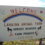 Lahaina Animal Farm & Guest Ranch