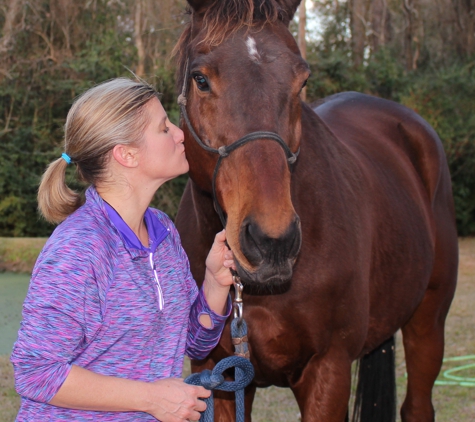 Henry's Home Horse and Human Sanctuary - The Woodlands, TX