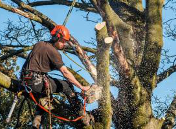 Liberty Tree Service - Smithfield, PA