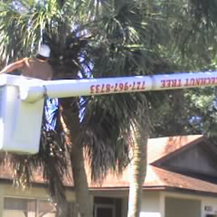 Beechnut Tree Service - New Port Richey, FL. bucket truck service