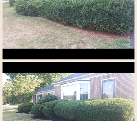 Kingdom Landscaping Est. 2012 LLC - Pottstown, PA