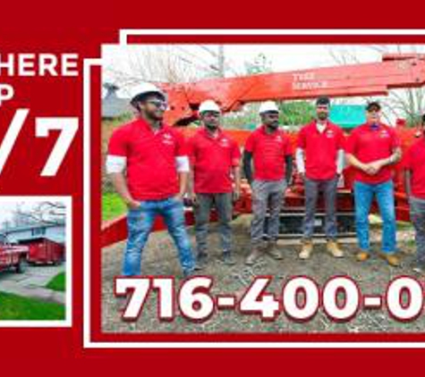 Branch Specialists Rochester NY - Rochester, NY