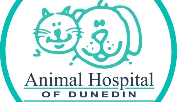 Animal Hospital of Dunedin - Dunedin, FL