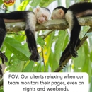 100th Monkey - Directory & Guide Advertising