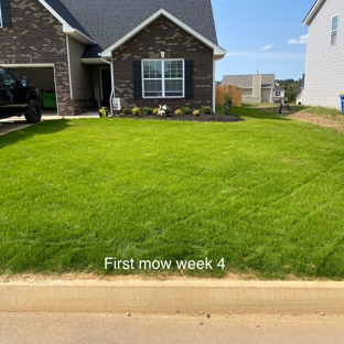 Classic Lawn & Tree - Maryville, TN