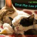 Treat Play Love Pet Care - Pet Services