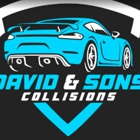 David & Sons Collisions