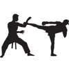 Martial Arts Masters gallery