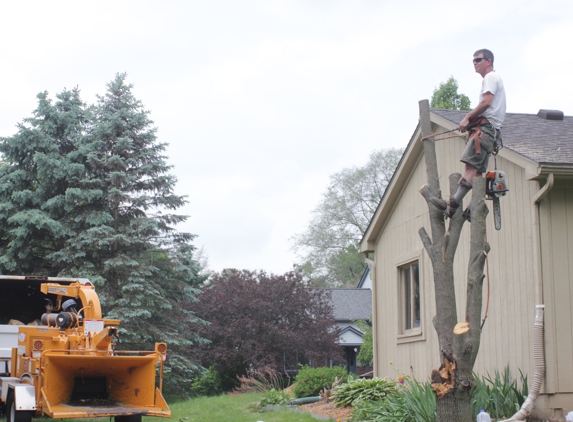 ArborCare of Michigan - Oak park, MI