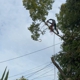 Capital Arborists Inc