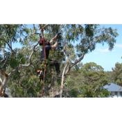 Gallery Image Number 7