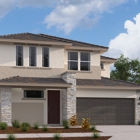 Beazer Homes Verrado II at Solaire
