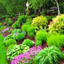 Lupercio Land Design - Landscaping & Lawn Services