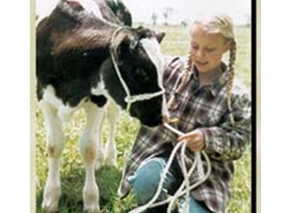 Bovine Inseminations - Tongala, VIC