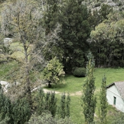 Gallery Image Number 3