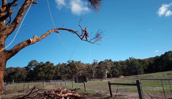 Gravity Tree Worx - Nerrina, VIC