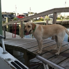 Miss Hatteras Party Boat