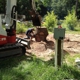 Lone Star Stump Grinding