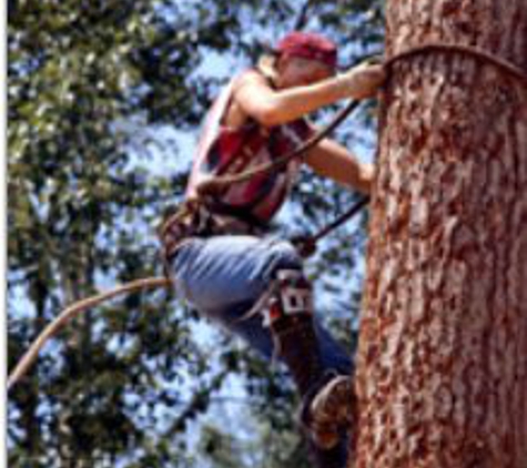 Delchester Tree Service - West Chester, PA