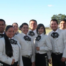 Mariachi Alegre - Bands & Orchestras