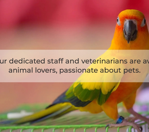 Avonsleigh Veterinary Clinic - Avonsleigh, VIC. Our dedicated staff and veterinarians are avid animal lovers, passionate about pets.