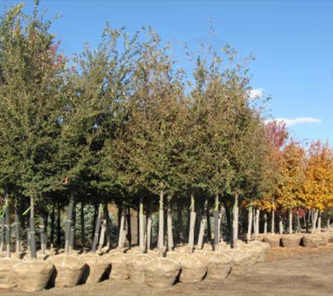 Walnut Creek Nursery - Marengo, IL