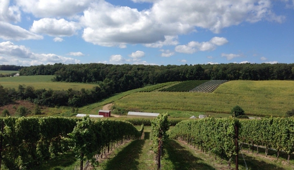 Galen Glen Vineyard & Winery - Andreas, PA