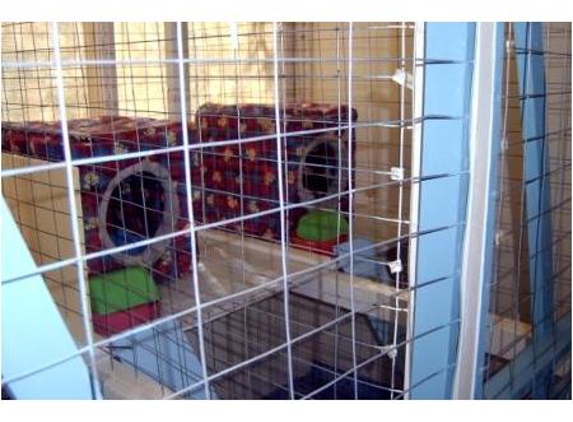 Diamond's Boarding Kennels - Rowville, VIC