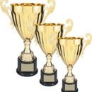 Blizzard Trophies Inc - Trophies, Plaques & Medals