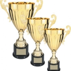 Blizzard Trophies Inc