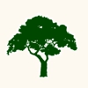 Cut Tree Service gallery