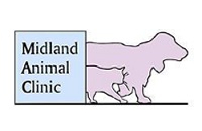 midland pet emergency
