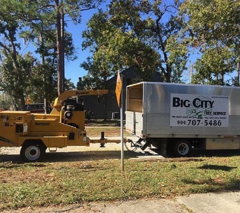 Big City Tree Service, Inc. - Jacksonville Beach, FL