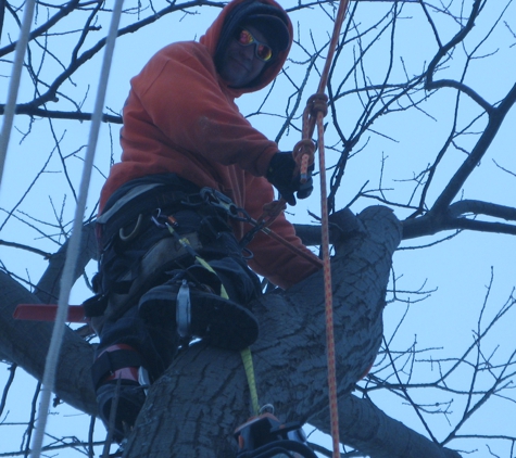 The Natural Tree Service - Au Sable Forks, NY