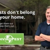 EnviroPest gallery