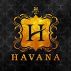 Havana Cigars