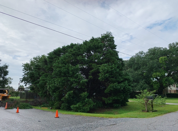 Sunset Tree Service - Charleston, SC. Before!