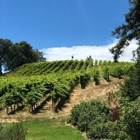 Freeman Vineyard & Winery