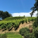 Freeman Vineyard and Winery