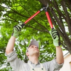 ABOVE GROUND TREE SERVICES - EWING, Mercer County NJ