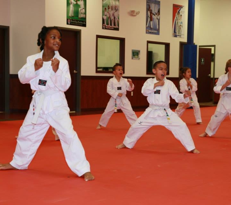 Tiger World Class Tae Kwon Do & Family Martial Arts - Ellicott city, MD