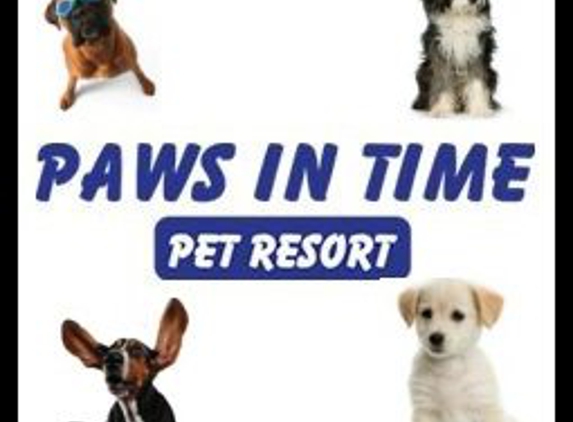 Paws In Time - West Chicago, IL