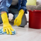 The Cleaning Fairy