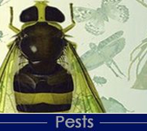 All Pro Pest Control LLC - Lowell, MA