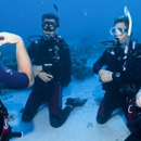 Blue Chip Travel - Diving Instruction