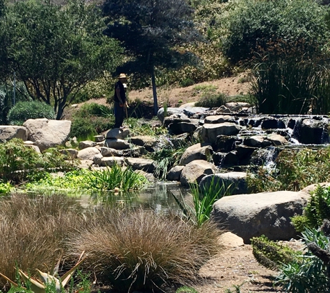 California Aquatics - Santee, CA. Rock Waterfall