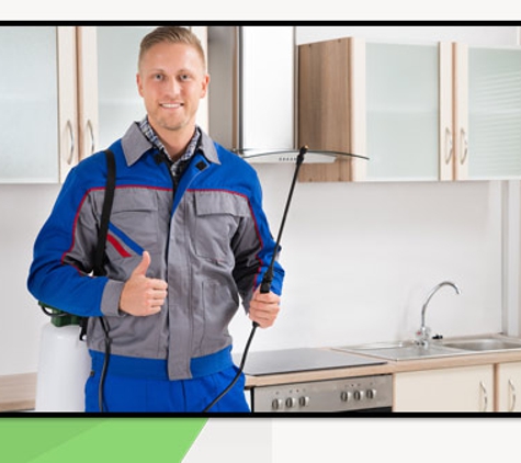 Termite Technology - Albury, NSW. Reliable & Effective