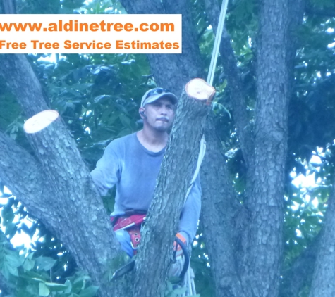 Aldine Tree Services Houston Stump Grinding - Houston, TX. Delfino Aldine Tree