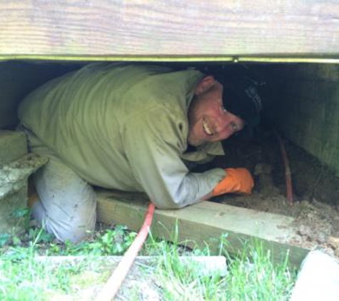 Senate Termite & Pest Control - Gaithersburg, MD