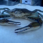 Fat Crabs Rib Co